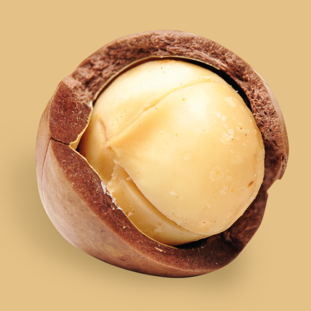 מקדמיה