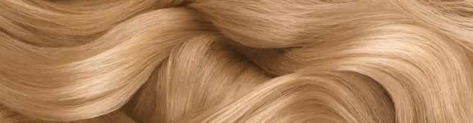 אוליה - דוגמת שיער צבוע בגוון 8.31 בלונד זהוב אפרפר