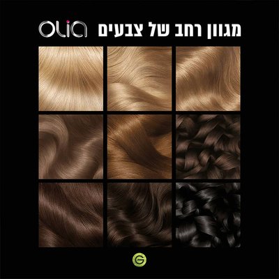 אוליה. מגוון רחב של צבעים.